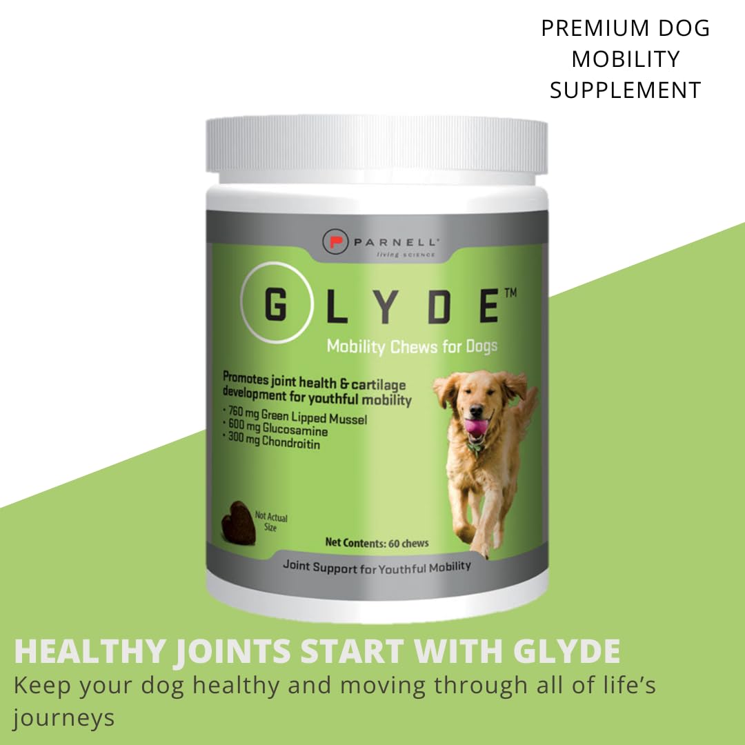 Glyde – articulations et flexibilité, gommes faciles à donner.