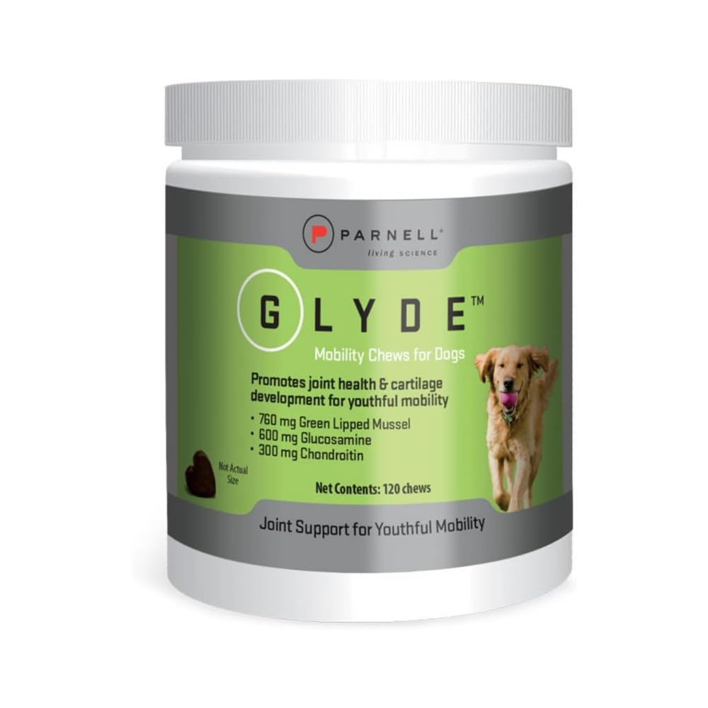 Glyde Mobilité – gommes pour chiens en bouteille, soutien potentiel à la mobilité.