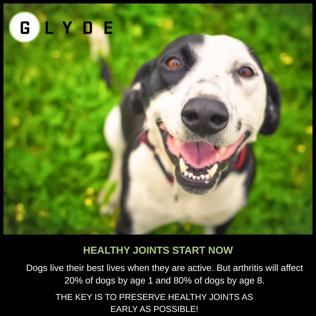 Glyde Omega3 – gommes chiens, soutien possible contre l'inflammation.