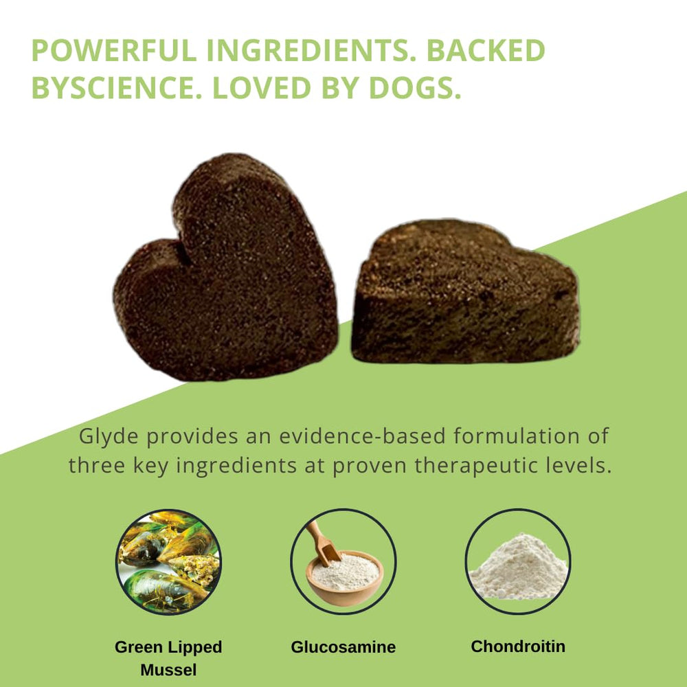 Glyde Sans Gluten – gommes chiens adaptées, sans gluten.