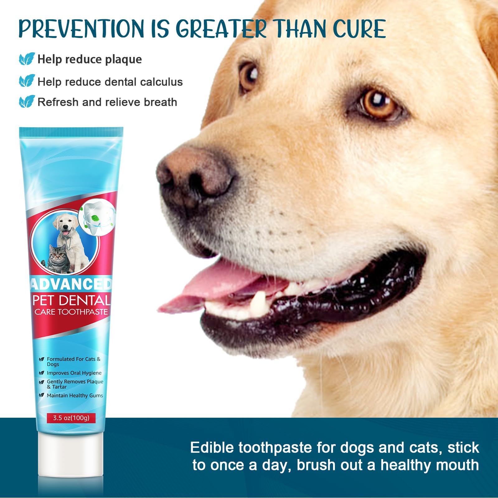 GNAPY brosse-dents chien double-face adaptée à toutes tailles.