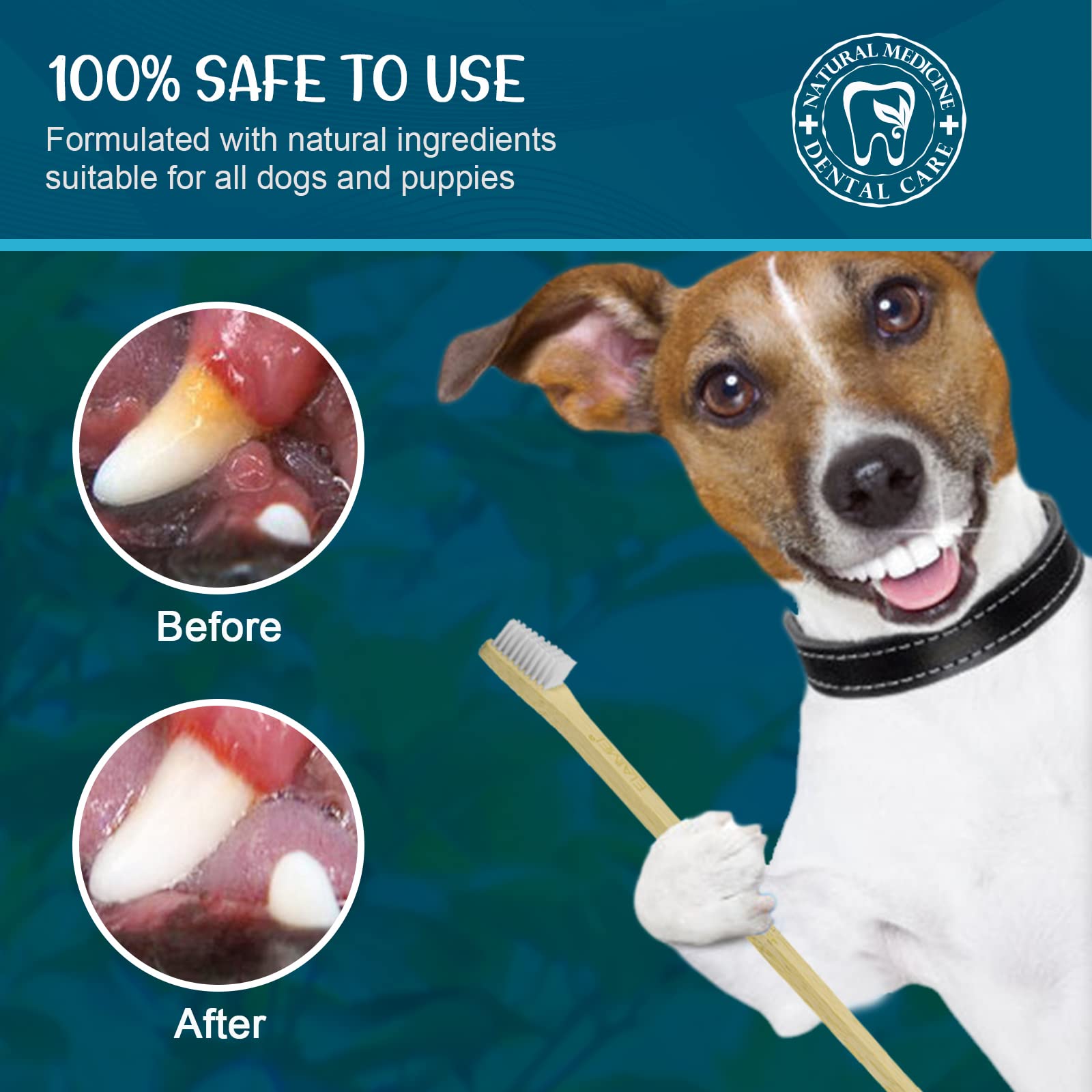 GNAPY sourire chien frais après le brossage.