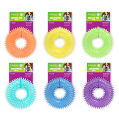 Gnawsome Anneau Épineux Petit, massage des gencives et jeu interactif pour chien