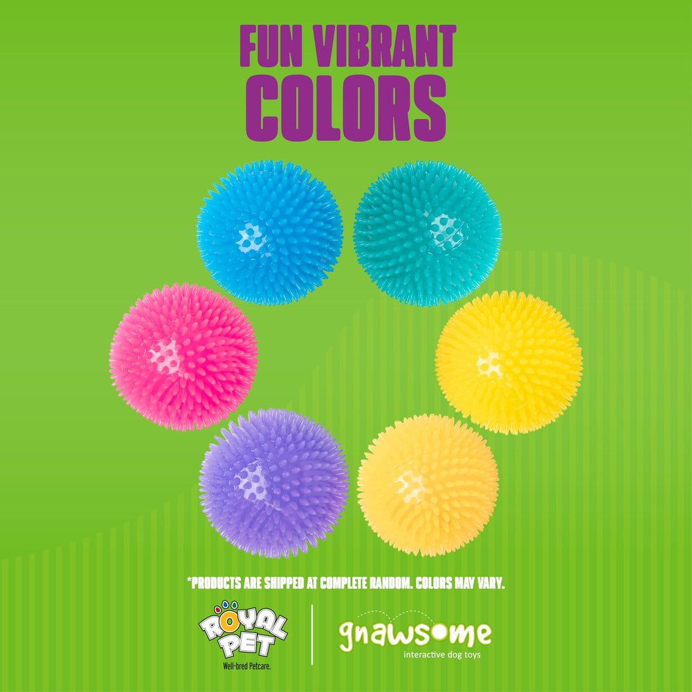 Gnawsome balle couleurs-vives, attrait visuel pour chien lors des sessions de jeu.