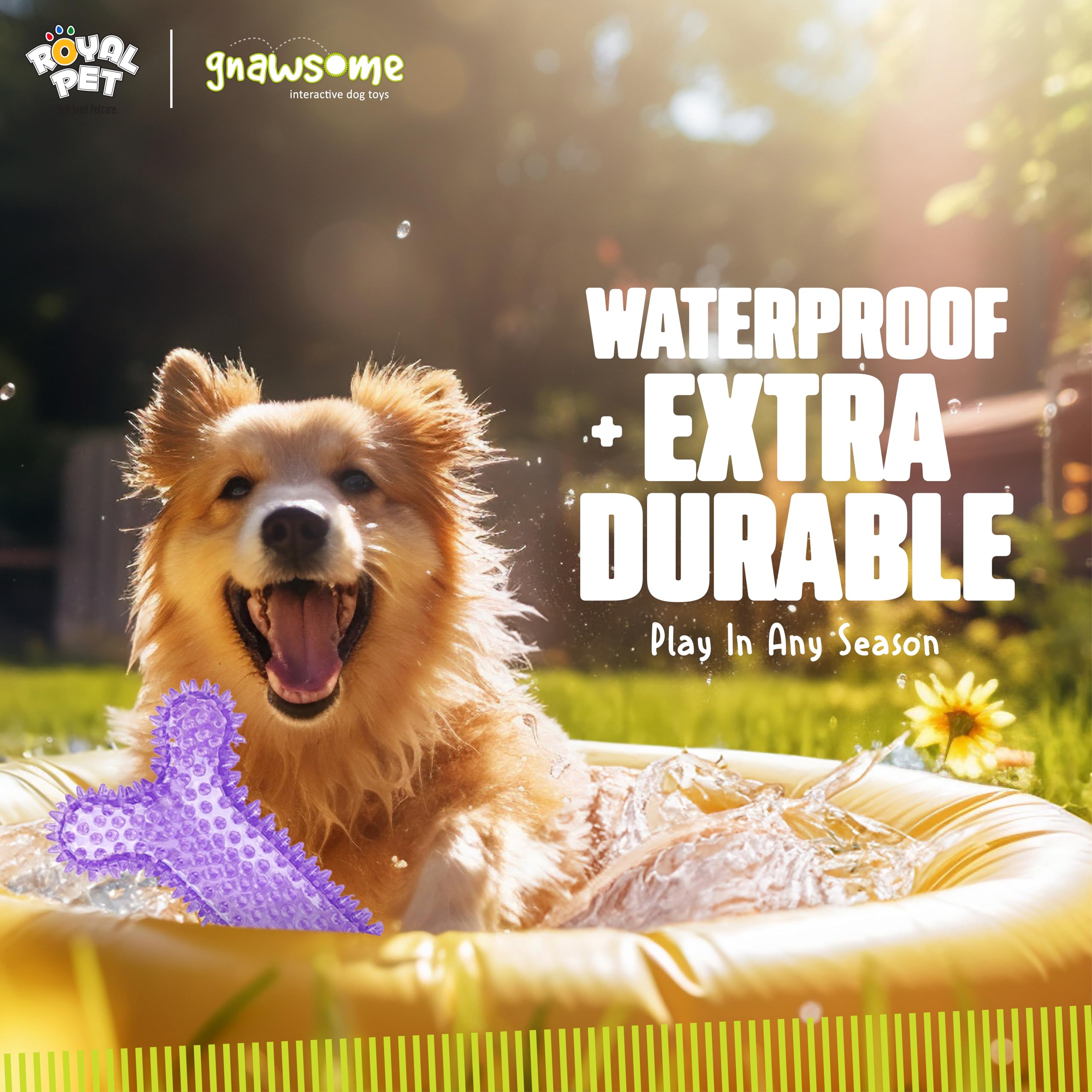 Gnawsome Balle Durable pour gros mâcheurs, résistance accrue.