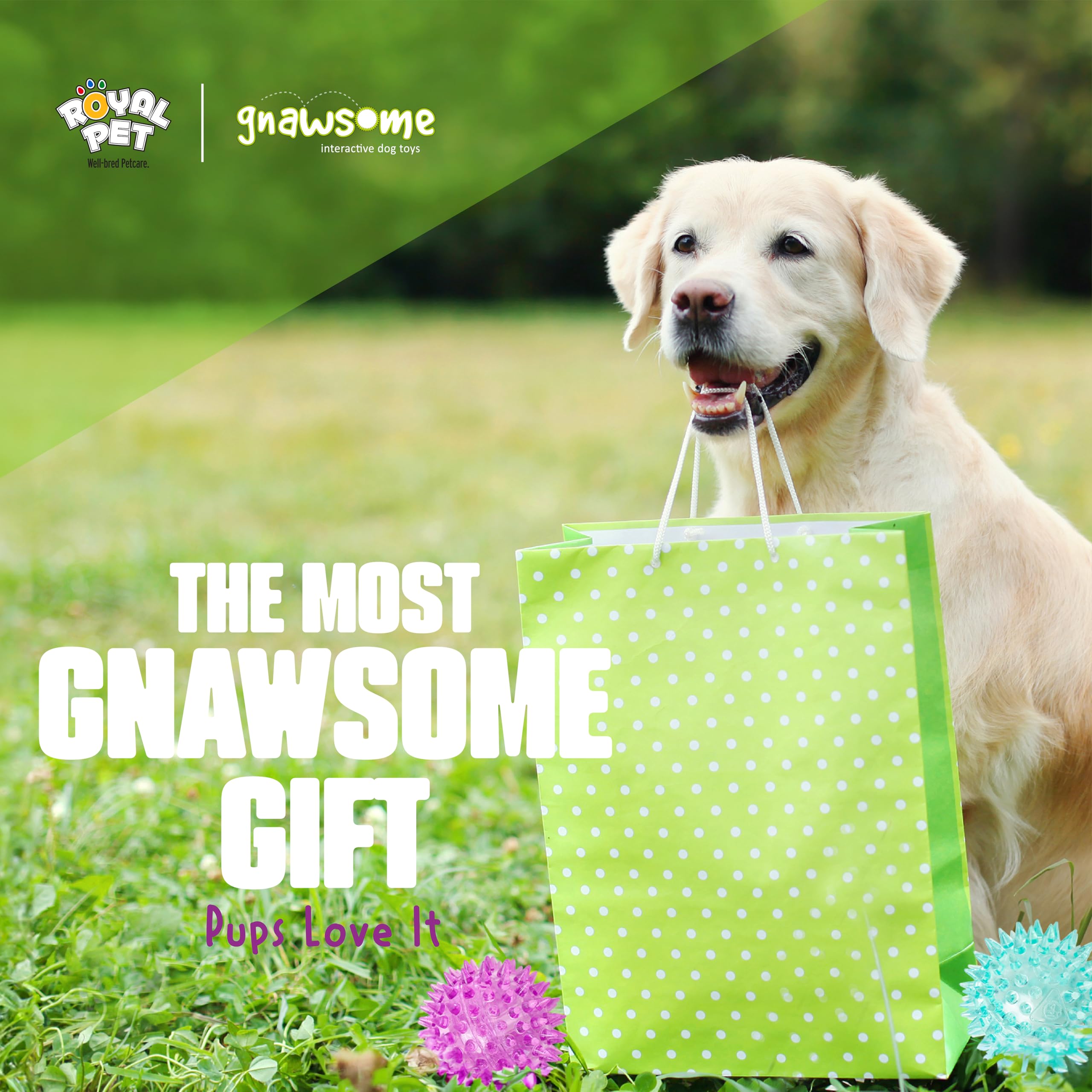 Gnawsome Balle résistante convient aux chiens actifs et mordilleurs.