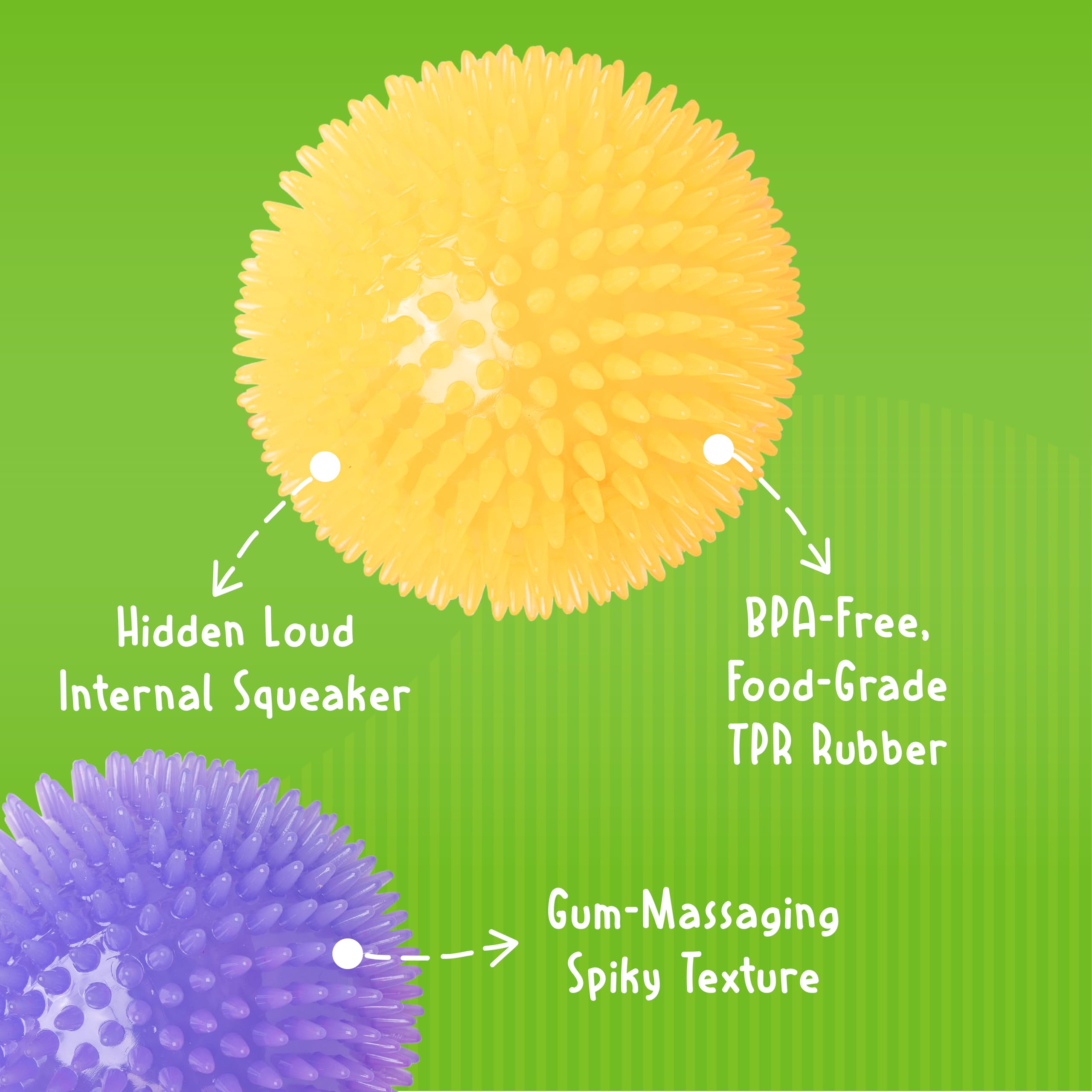 Gnawsome jouet durable, conçu pour résister aux mâchoires puissantes.
