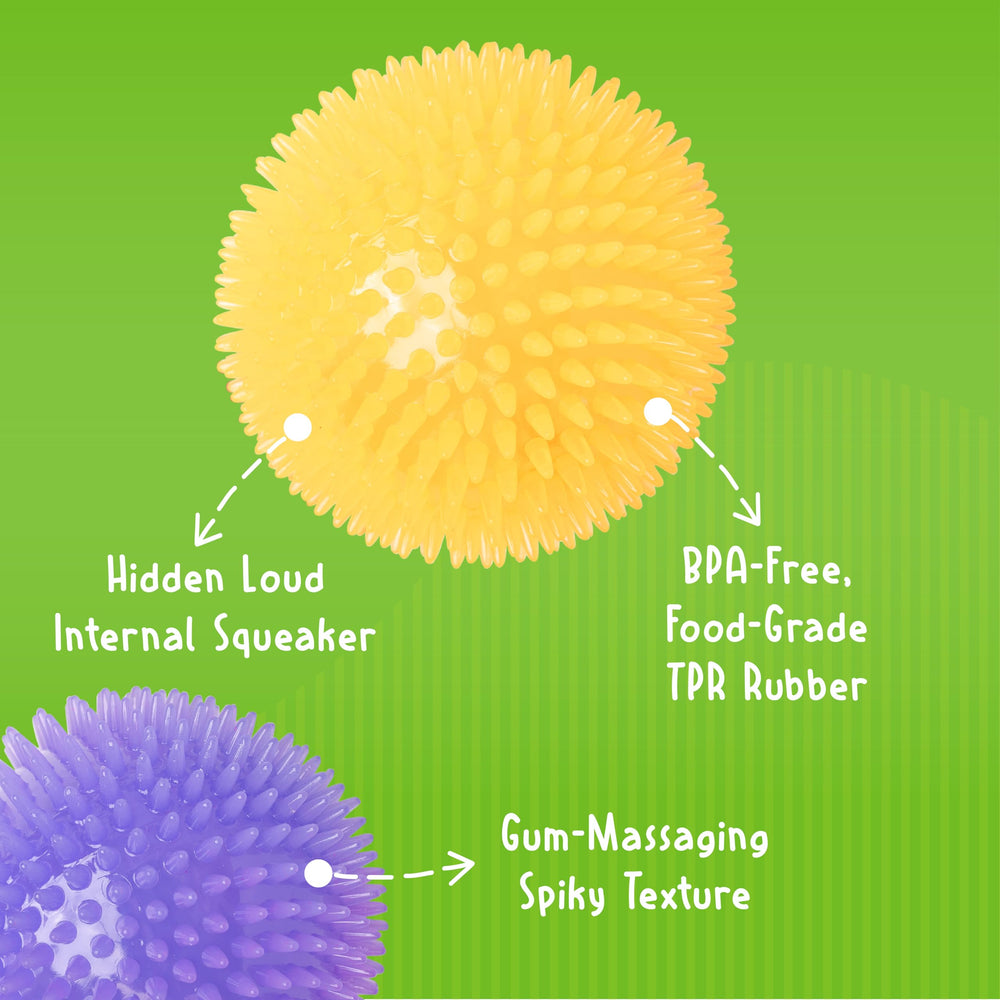 Gnawsome jouet durable, conçu pour résister aux mâchoires puissantes.
