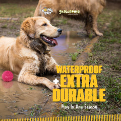 Gnawsome balle sans BPA en TPR, durable et sûre pour chiens.