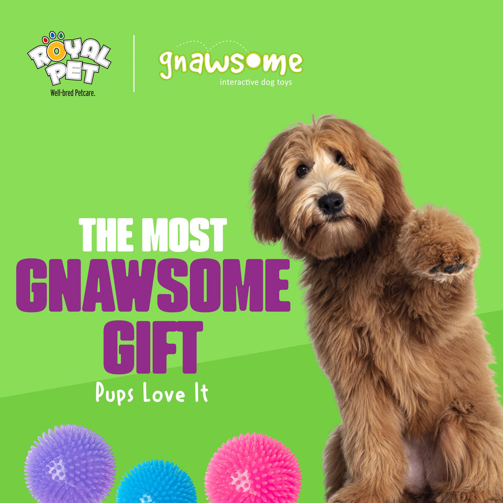 Gnawsome balle taille extra-large, adaptée aux chiens de grande taille.