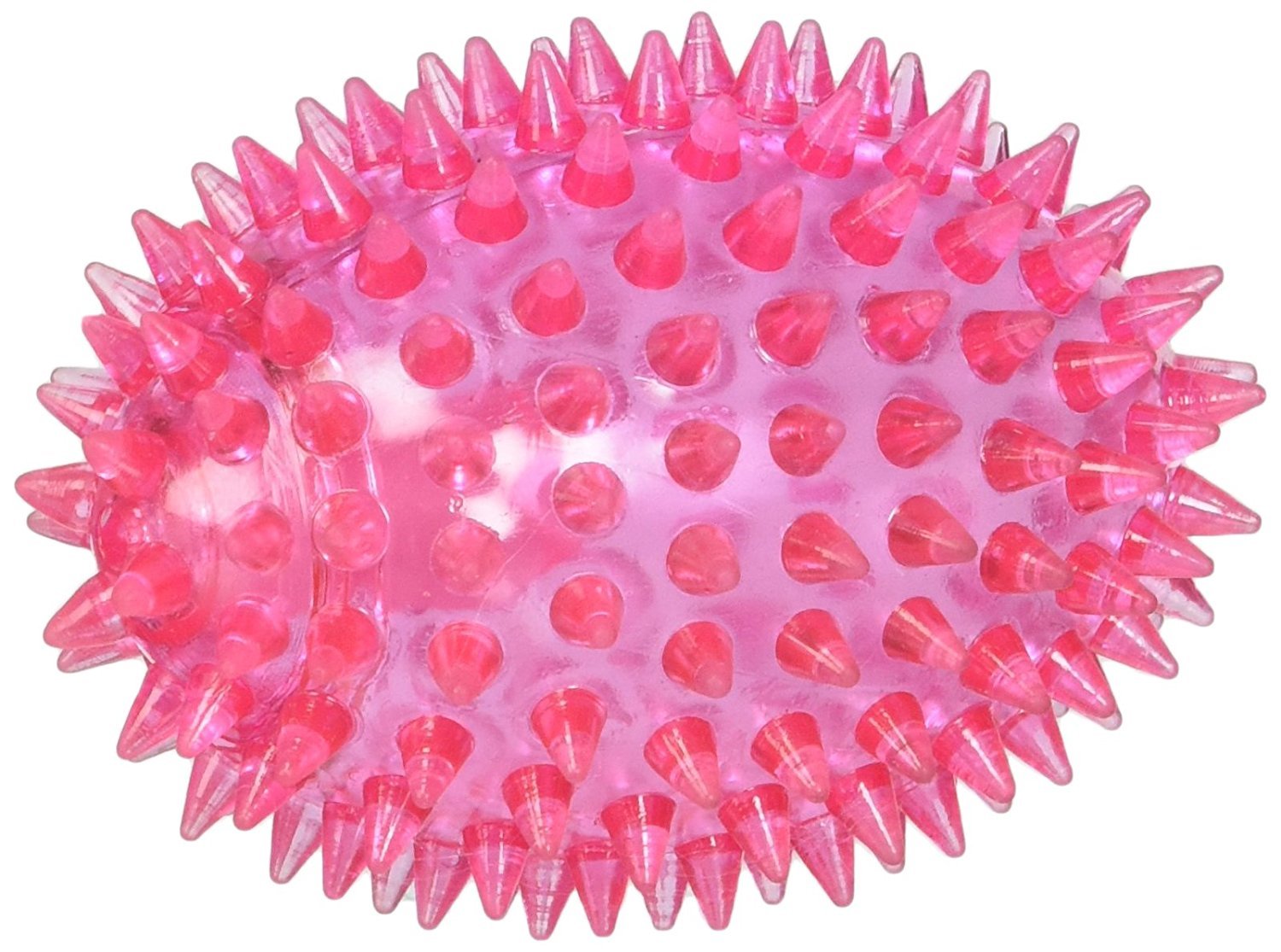 Gnawsome Ballon Sifflet Épineux Petit, divertissant et propice au jeu et au soin dentaire.