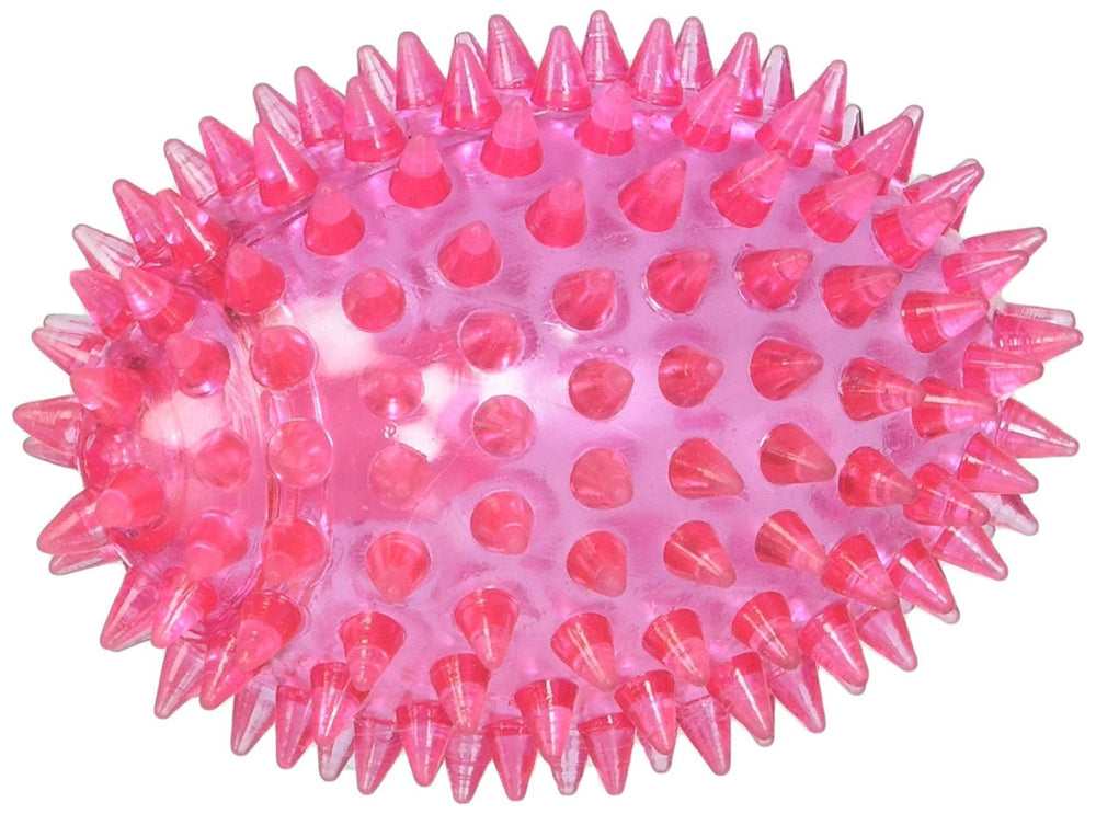 Gnawsome Ballon Sifflet Épineux Petit, divertissant et propice au jeu et au soin dentaire.