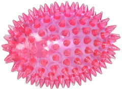 Gnawsome Ballon Sifflet Épineux Petit, divertissant et propice au jeu et au soin dentaire.