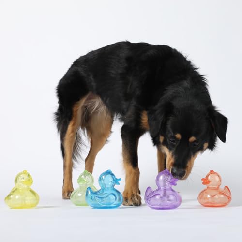 Gnawsome Canard Siffleur en action, parfait pour un jeu de rapport stimulant
