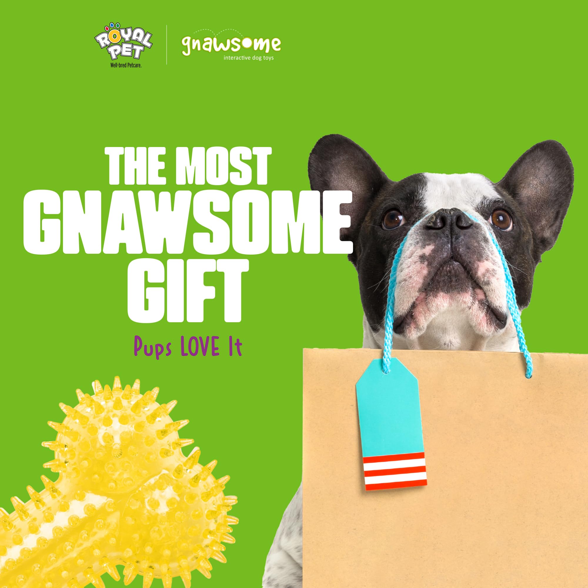 Gnawsome – Jolie jouet dentaire visuel pour sessions de jeu.