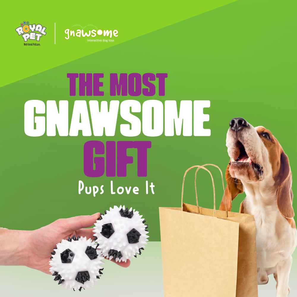 Gnawsome utilisation quotidienne pour chiens de tous âges et tailles.