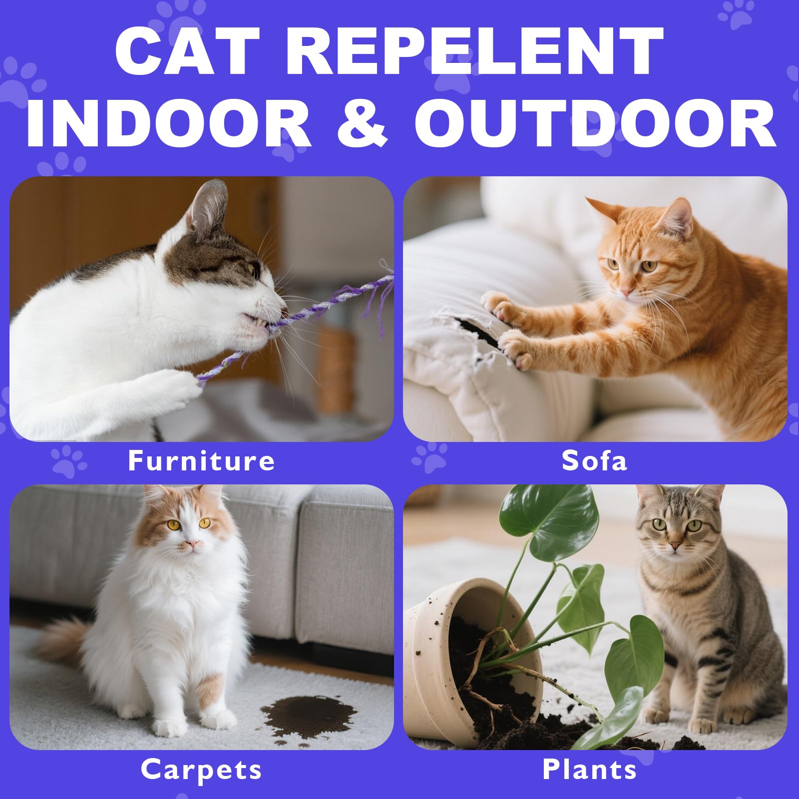 Gnaye spray protège jardin et patio contre les chats errants.