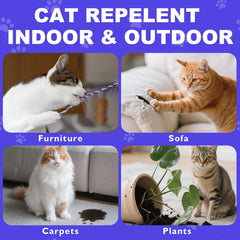 Gnaye spray protège jardin et patio contre les chats errants.