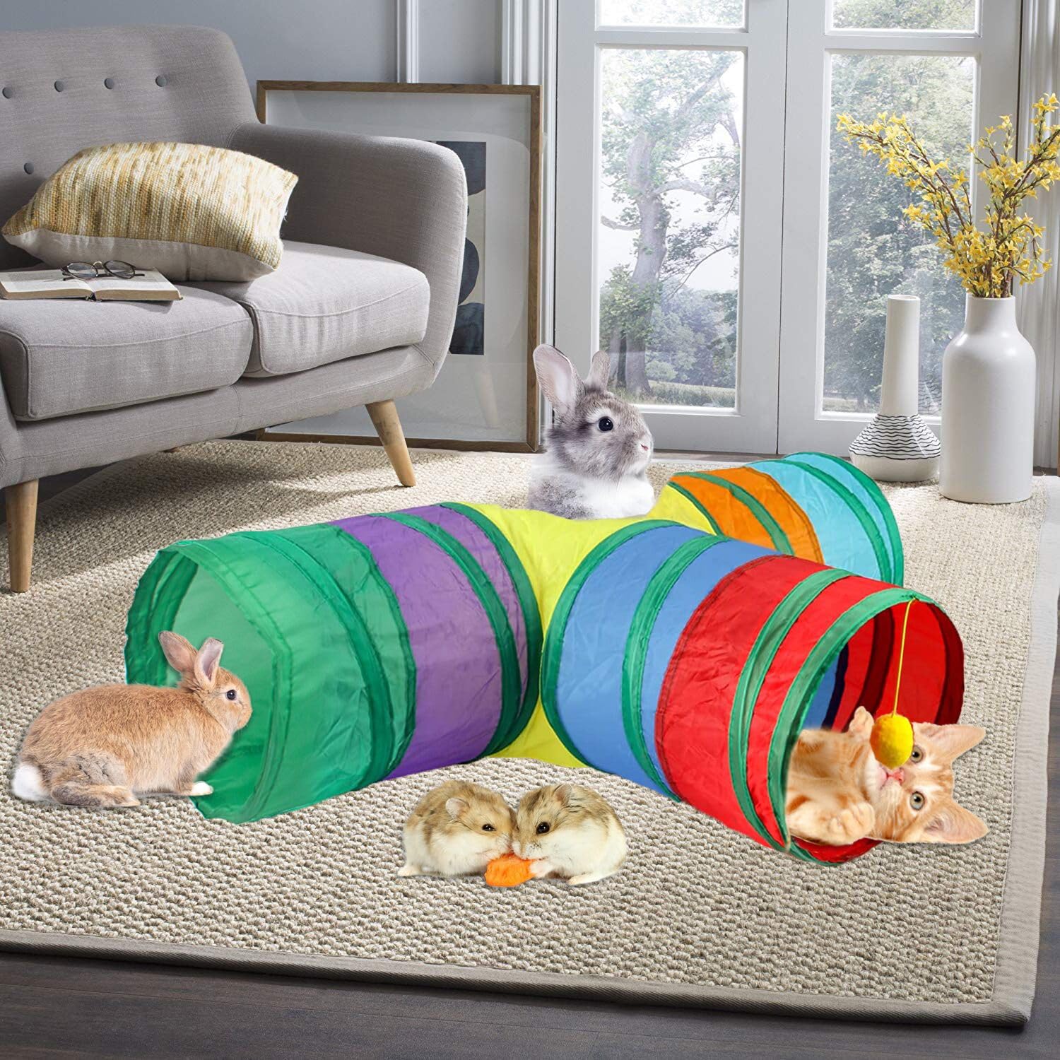 Accessoire pour divertir et occuper vos petits animaux avec GNB PET.