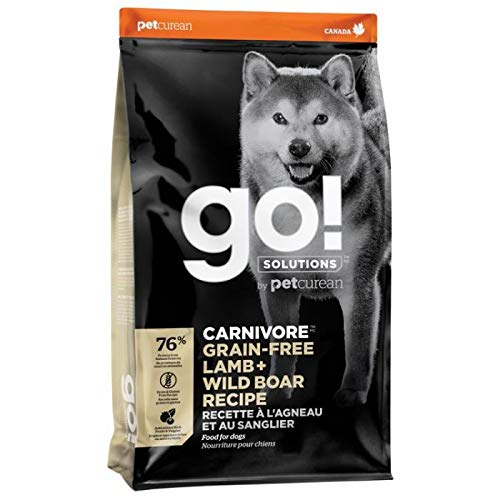 Go! Solutions Carnivore croquettes agneau et sanglier – soutien digestion et énergie canine.