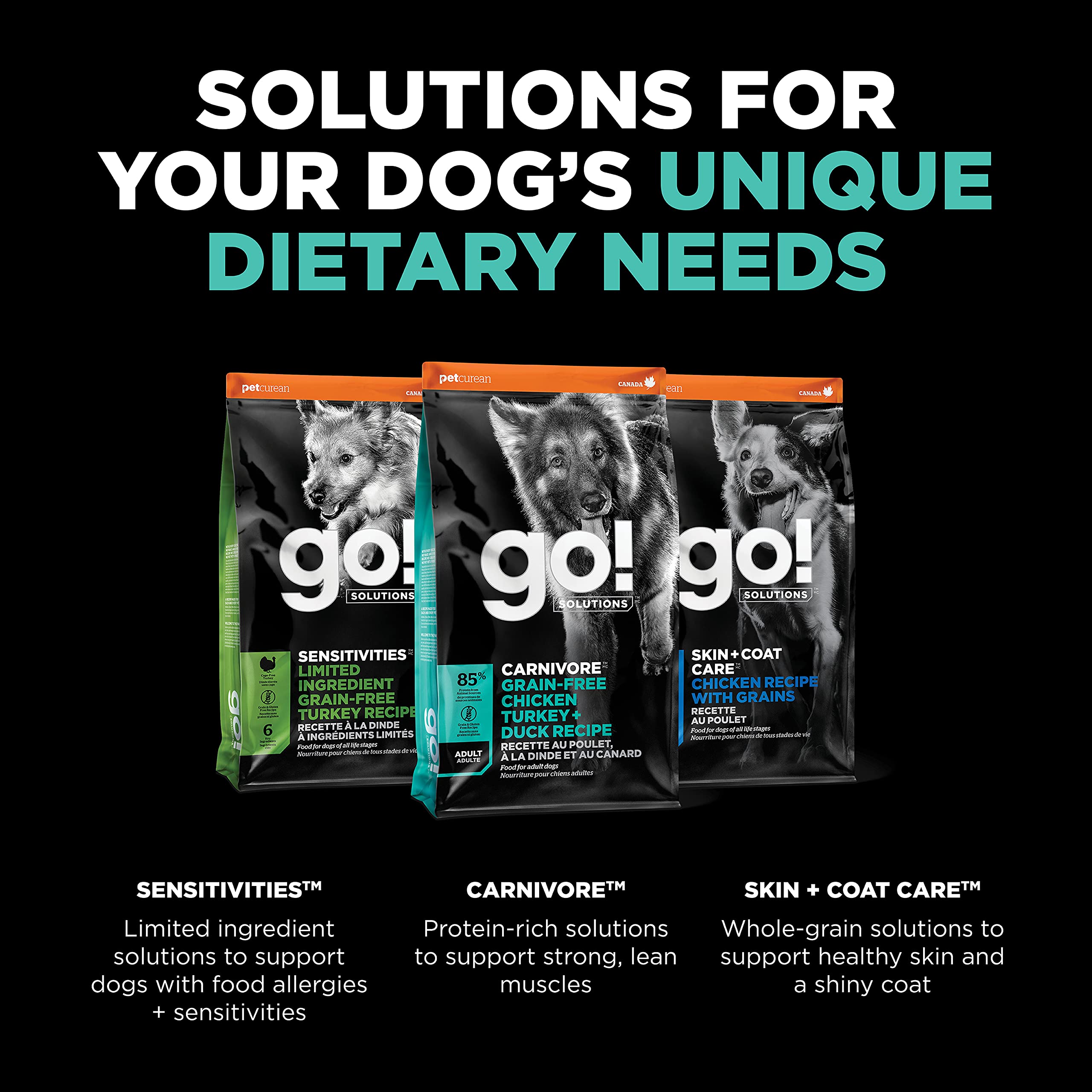 Go! Solutions Carnivore — enzymes et probiotiques pour digestion et bien-être.