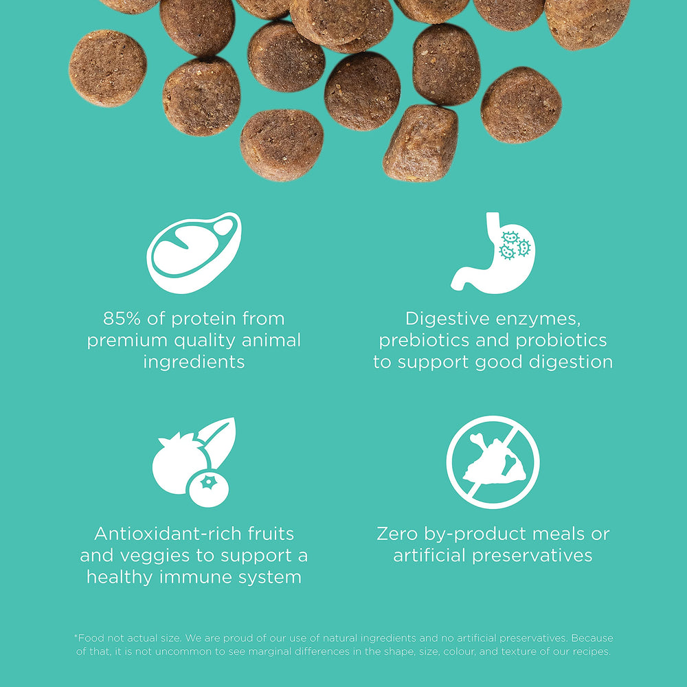Go! Solutions Carnivore — ingredients poulet dinde saumon et plus.