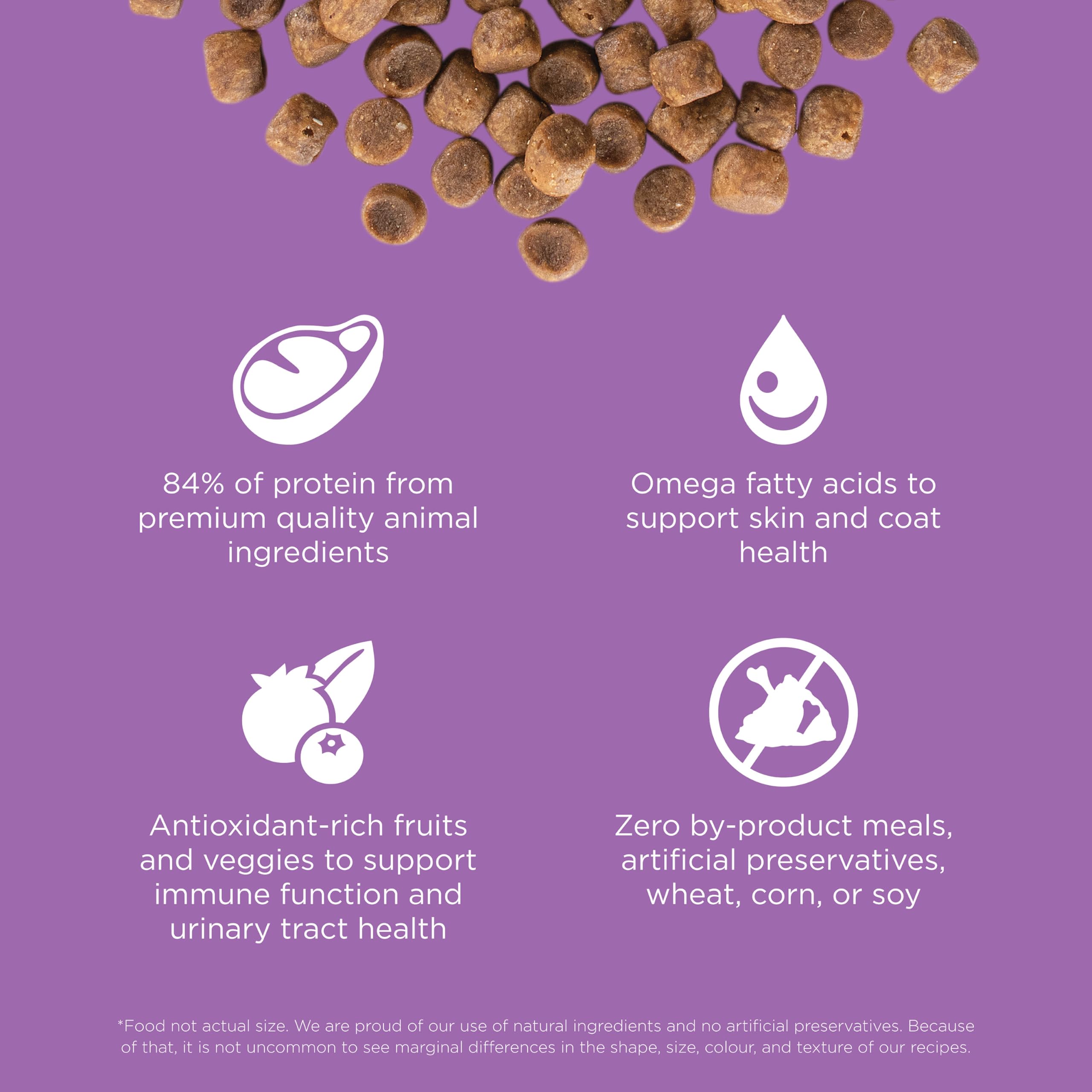 Go! Solutions Carnivore prébiotiques chicorée citrouille: soutien intestinal pour tous les jours.