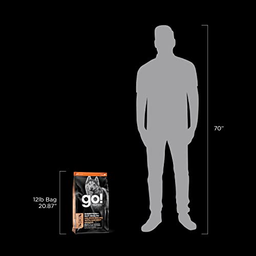 Go! Solutions Digestion fabriqué au Canada, qualité et traçabilité