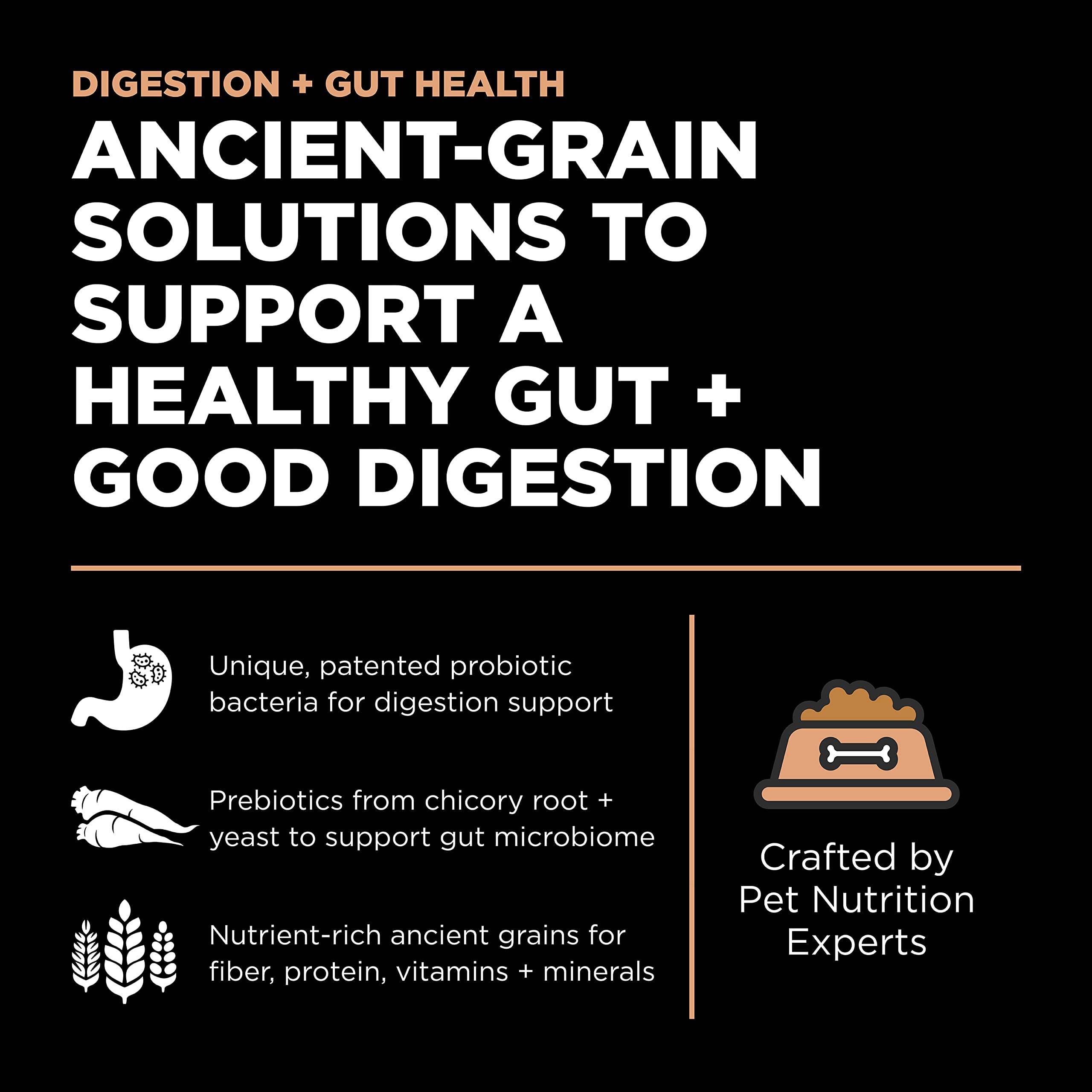 Go! Solutions Digestion fibres-grains-anciens apportant transit équilibré