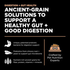 Go! Solutions Digestion Grains Anciens: fibres naturelles pour une digestion équilibrée.