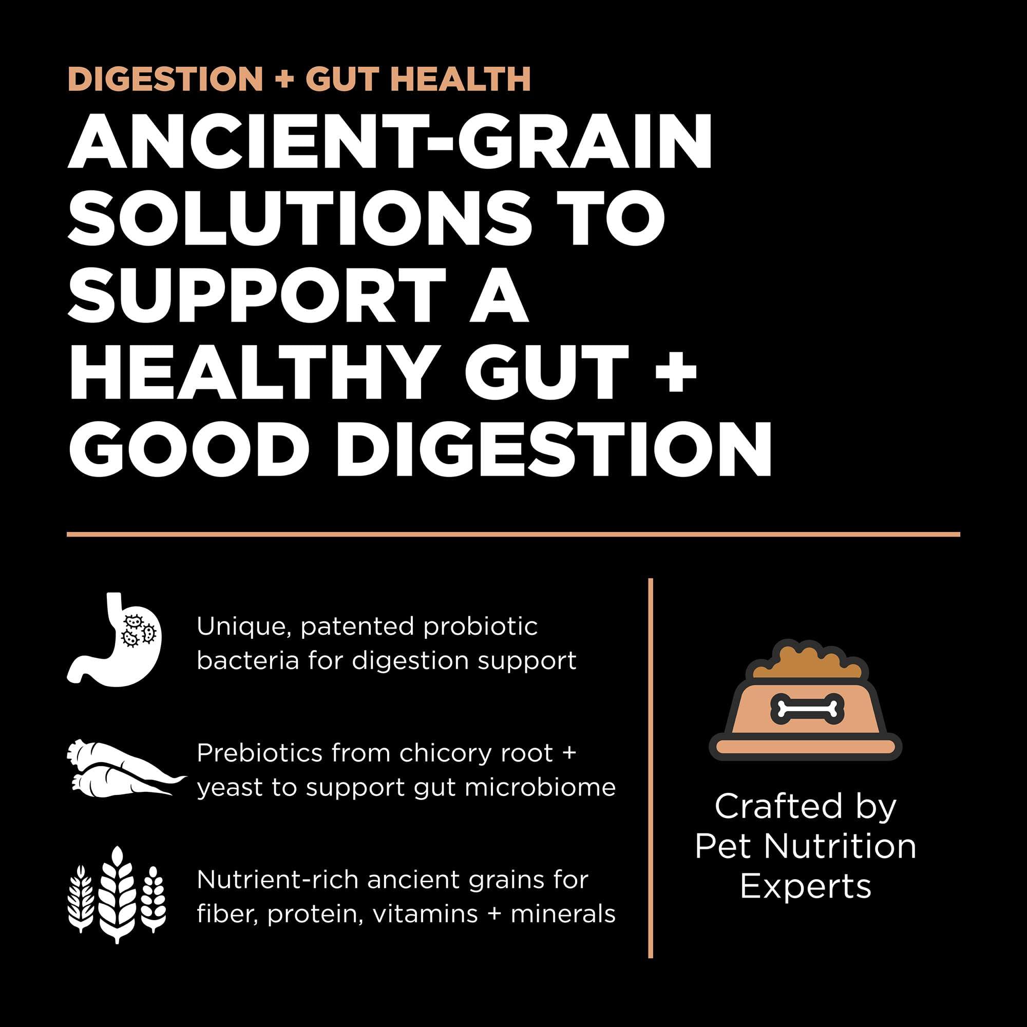 Go! Solutions Digestion grains-antique-blend: protéines et fibres équilibrées pour le transit.