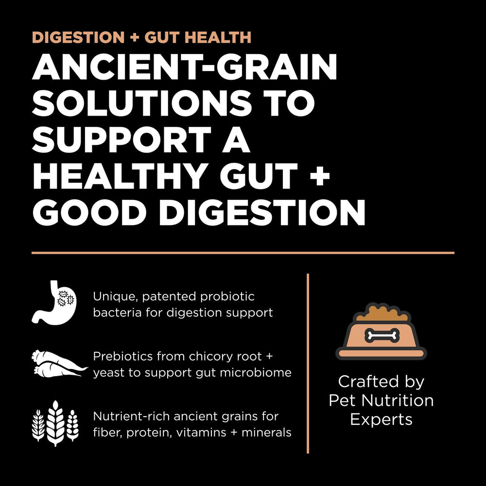 Go! Solutions Digestion grains-antique-blend: protéines et fibres équilibrées pour le transit.