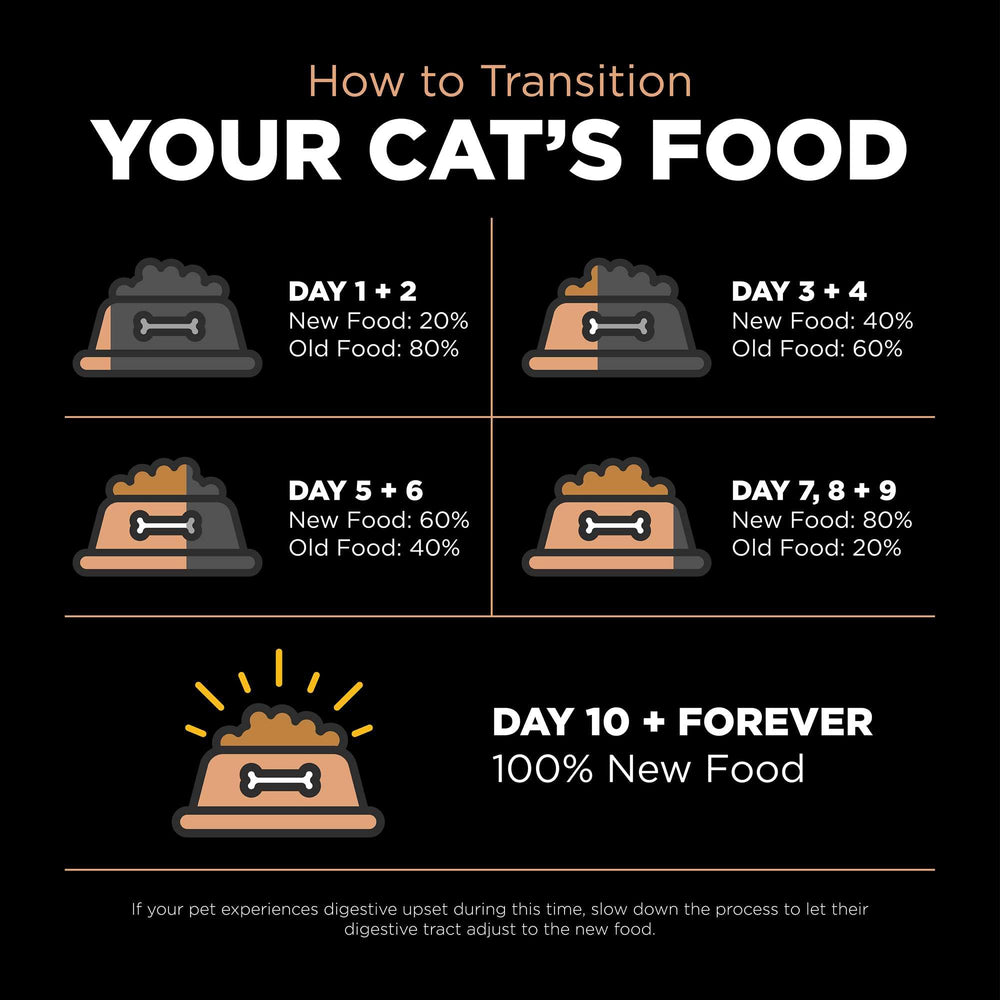 Go! Solutions Digestion sans conservateurs artificiels: formulation naturelle pour chats sensibles.