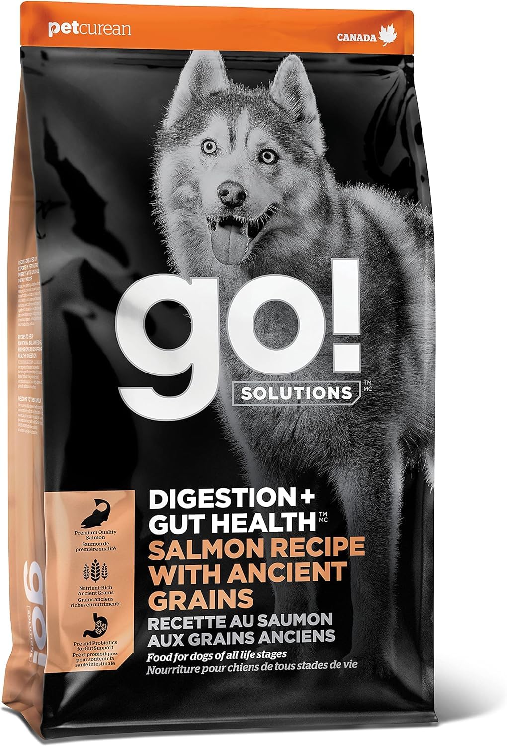 Go! Solutions Digestion Saumon: ingrédient principal protéiné soutenant la digestion.