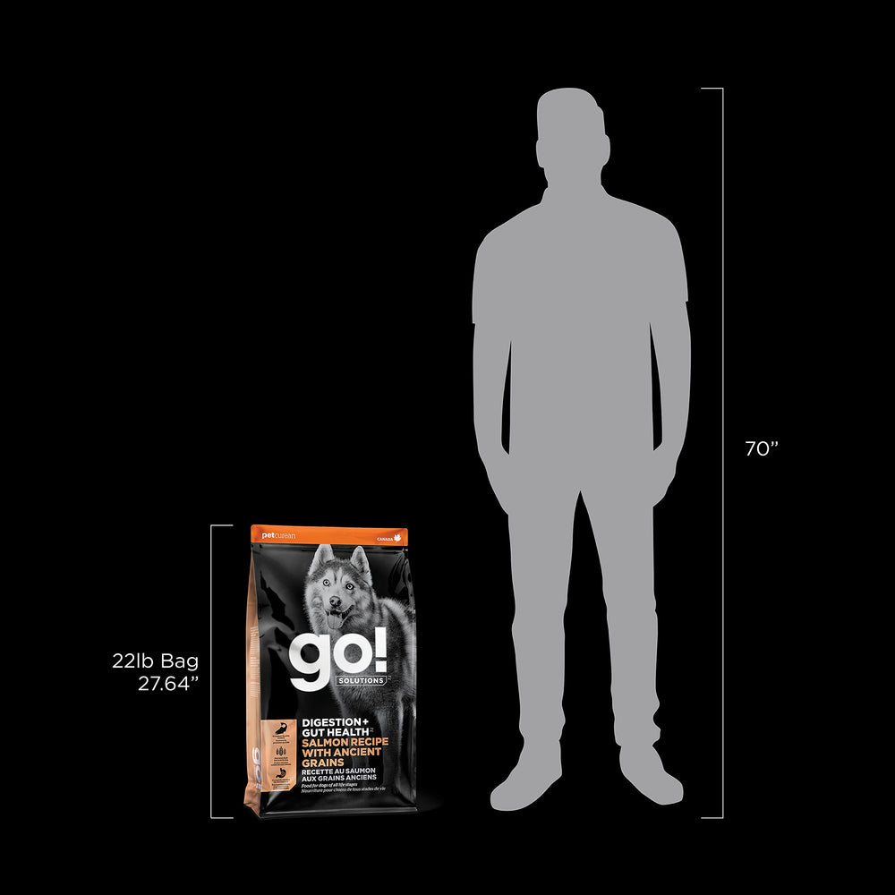 Go! Solutions Probiotiques et Prébiotiques: soutien de la flore intestinale.