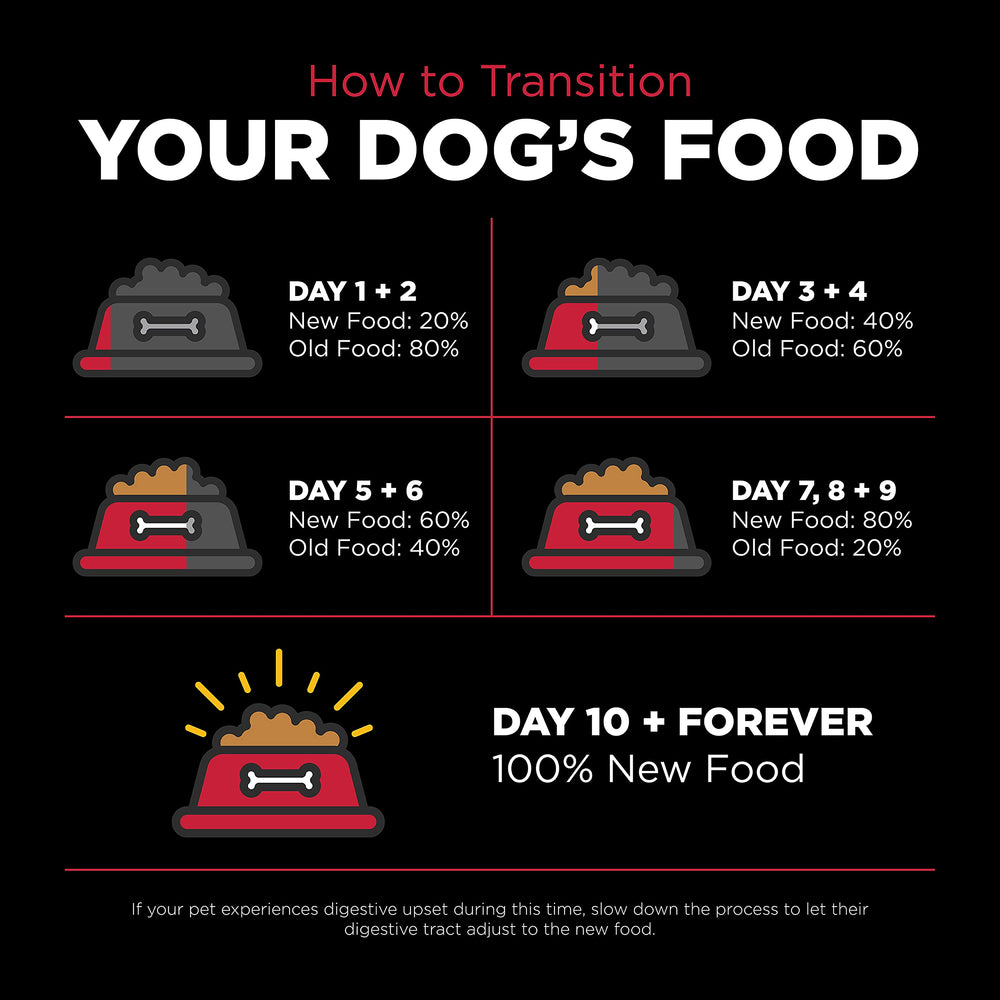 Go! Solutions sac pratique de 10 kg pour toute la famille canine
