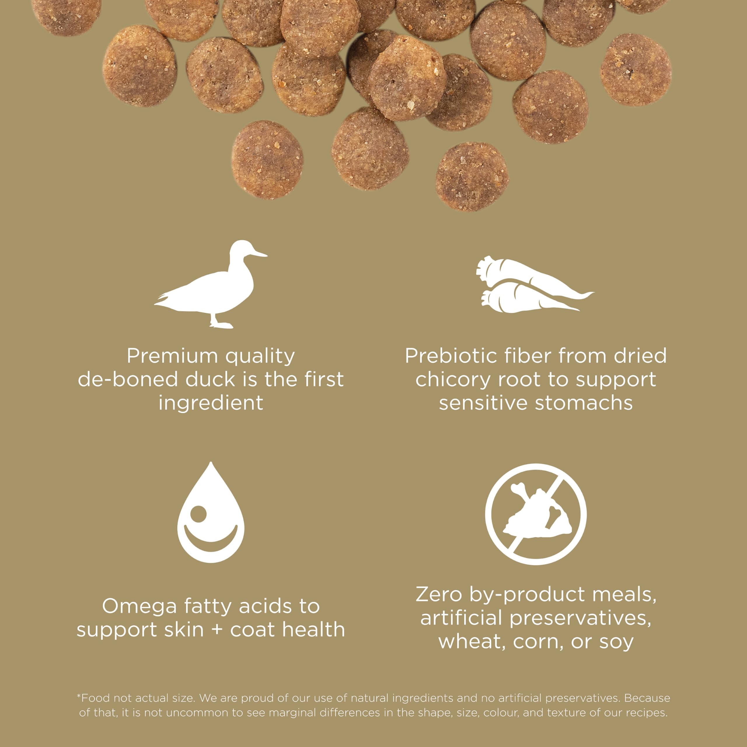 Go Solutions Sensitivities sans gluten et sans cereales pour une digestion douce
