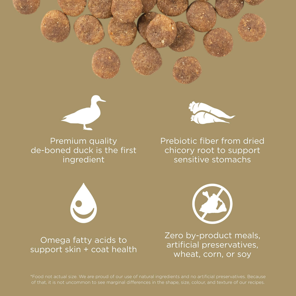 Go Solutions Sensitivities sans gluten et sans cereales pour une digestion douce