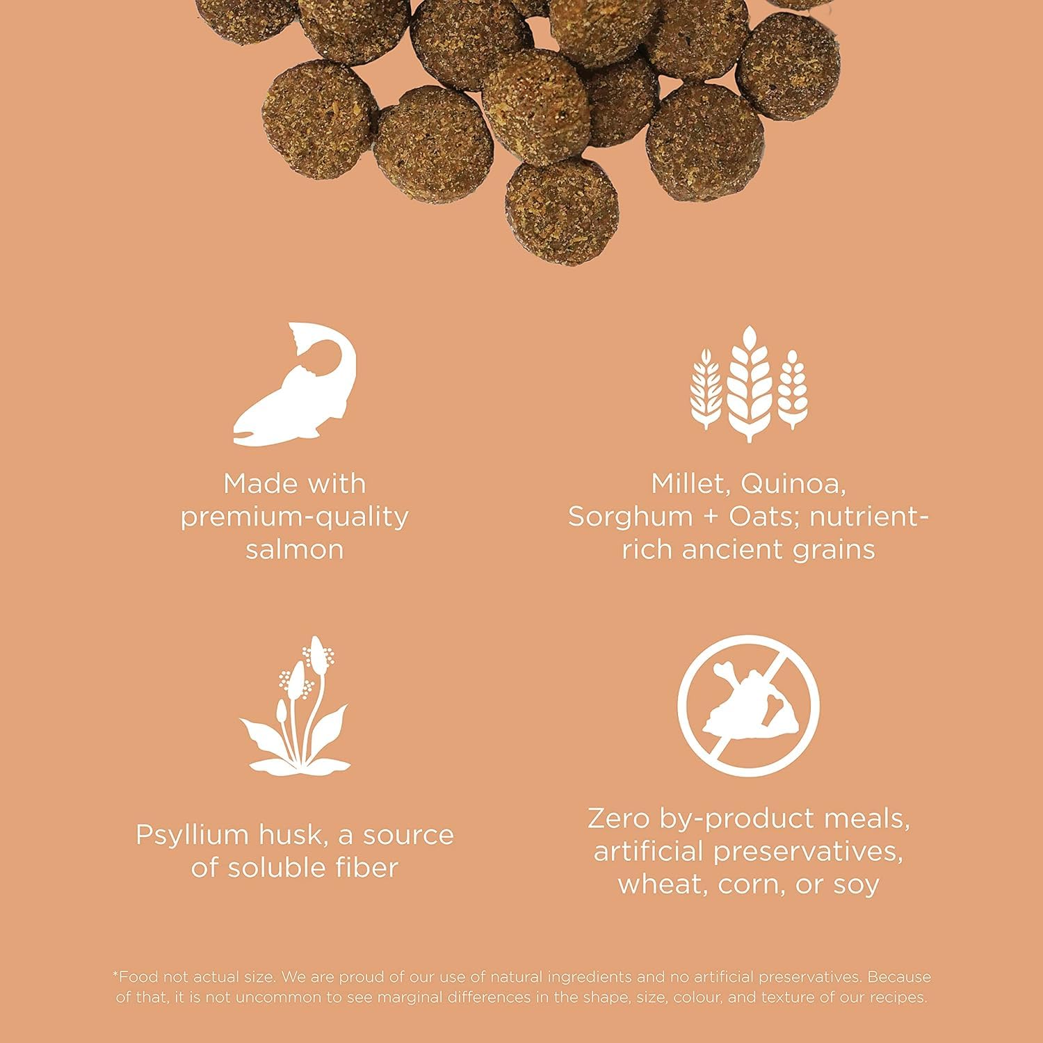 Go! Solutions Sans Poulet Saumon: protéine unique adaptée aux sensibilités.