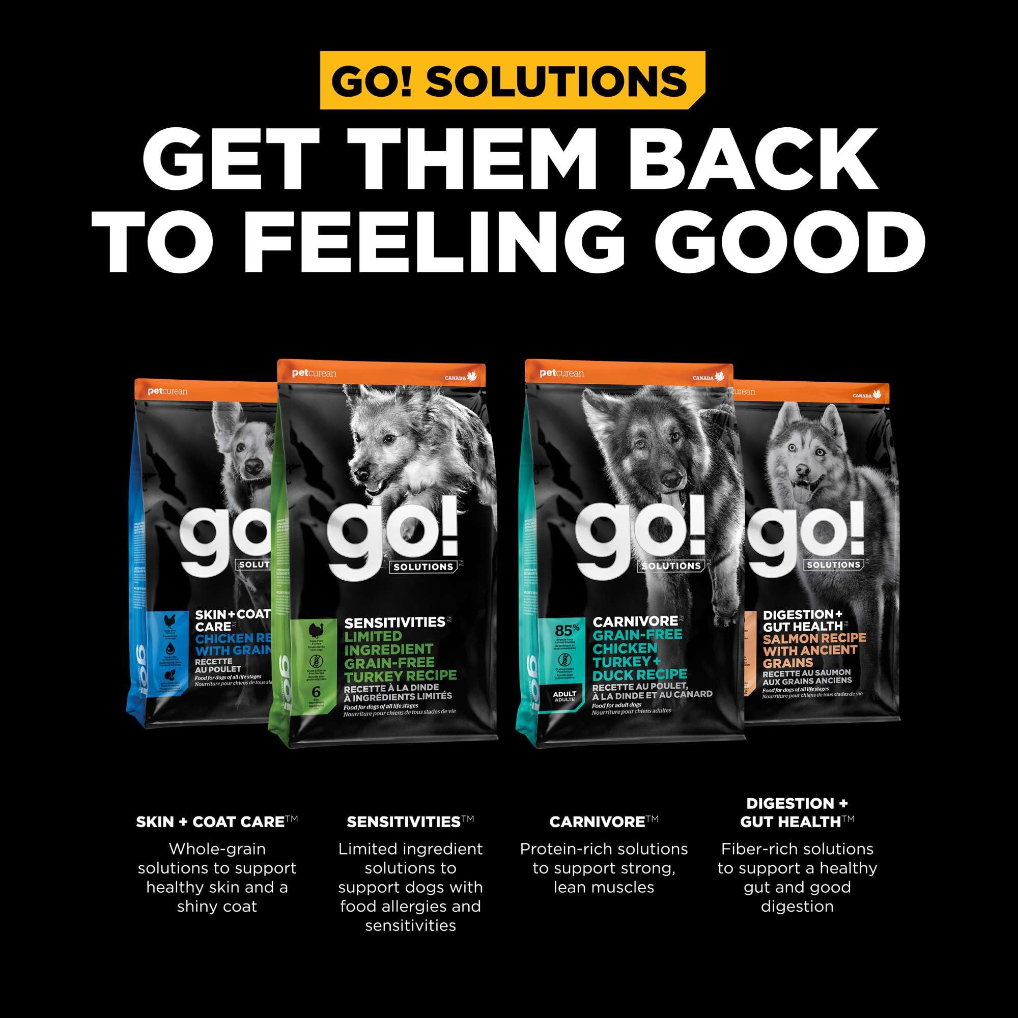 Go! Solutions senior actif énergie : formule adaptée aux chiens adultes et seniors.