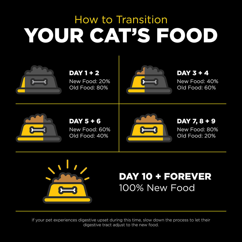 Go! Solutions Sensitivities – nutrition complète pour chatons, adultes et seniors.