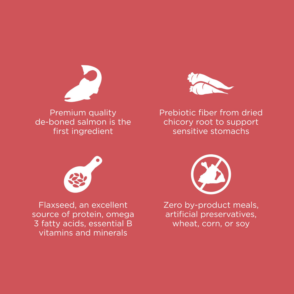 Go! Solutions Sensitivities sans-gluten-chat: recette sans gluten pour le confort quotidien.