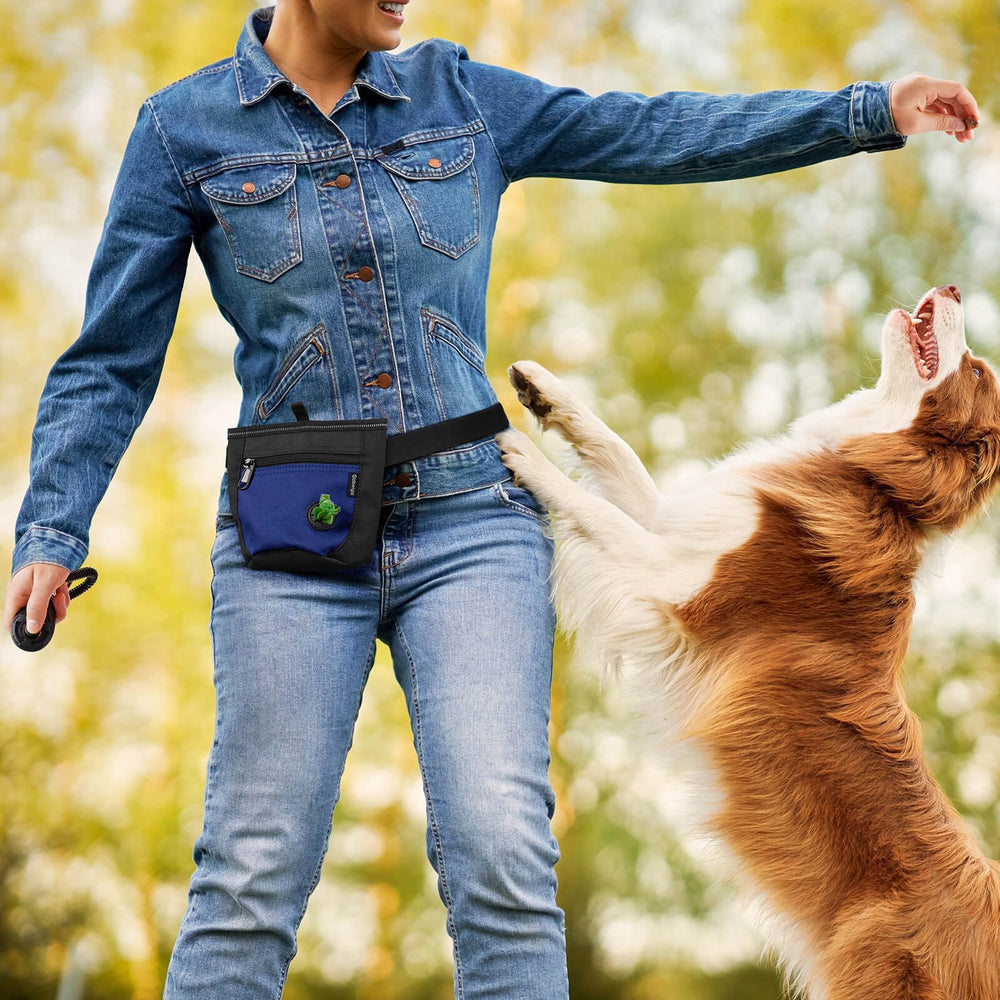 Ceinture-promenade Gobeigo avec clip métallique robuste pour toutes morphologies