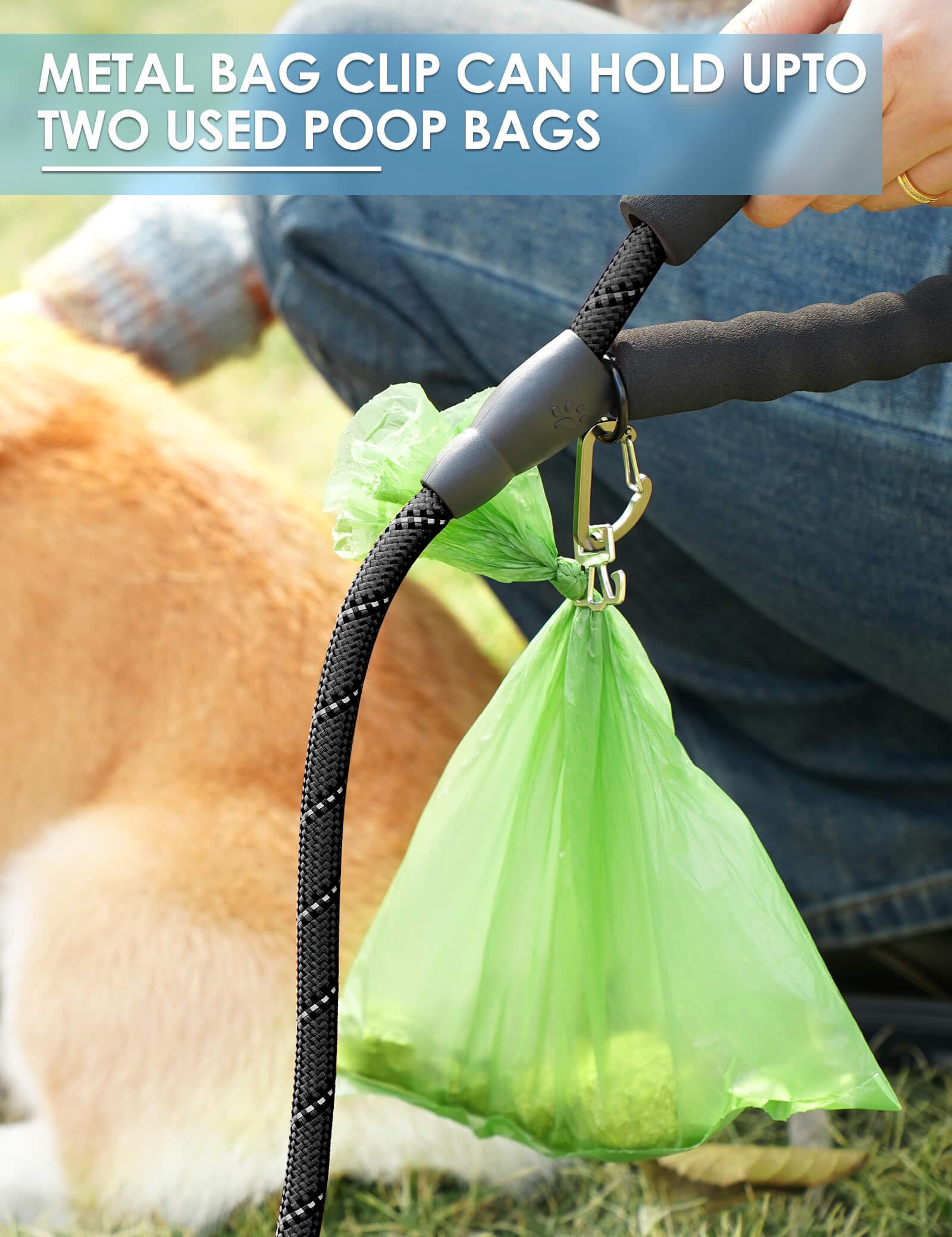 Gobeigo: ensemble pratique pour sorties quotidiennes avec votre chien.