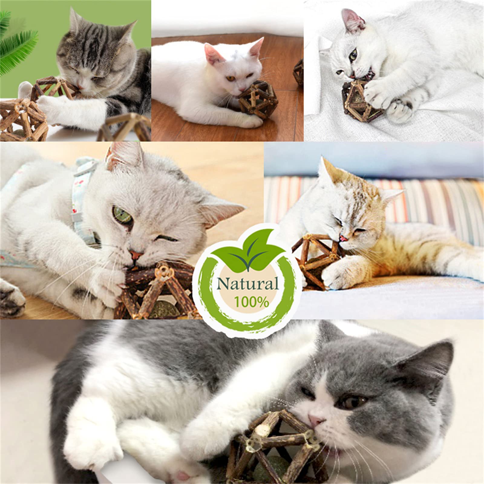 Gochanmon balle Catnip et clochette, divertissement intérieur.