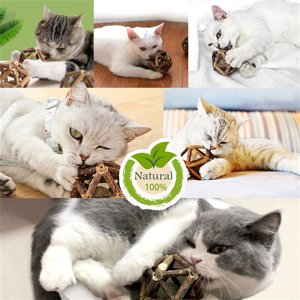 Gochanmon balle Catnip et clochette, divertissement intérieur.
