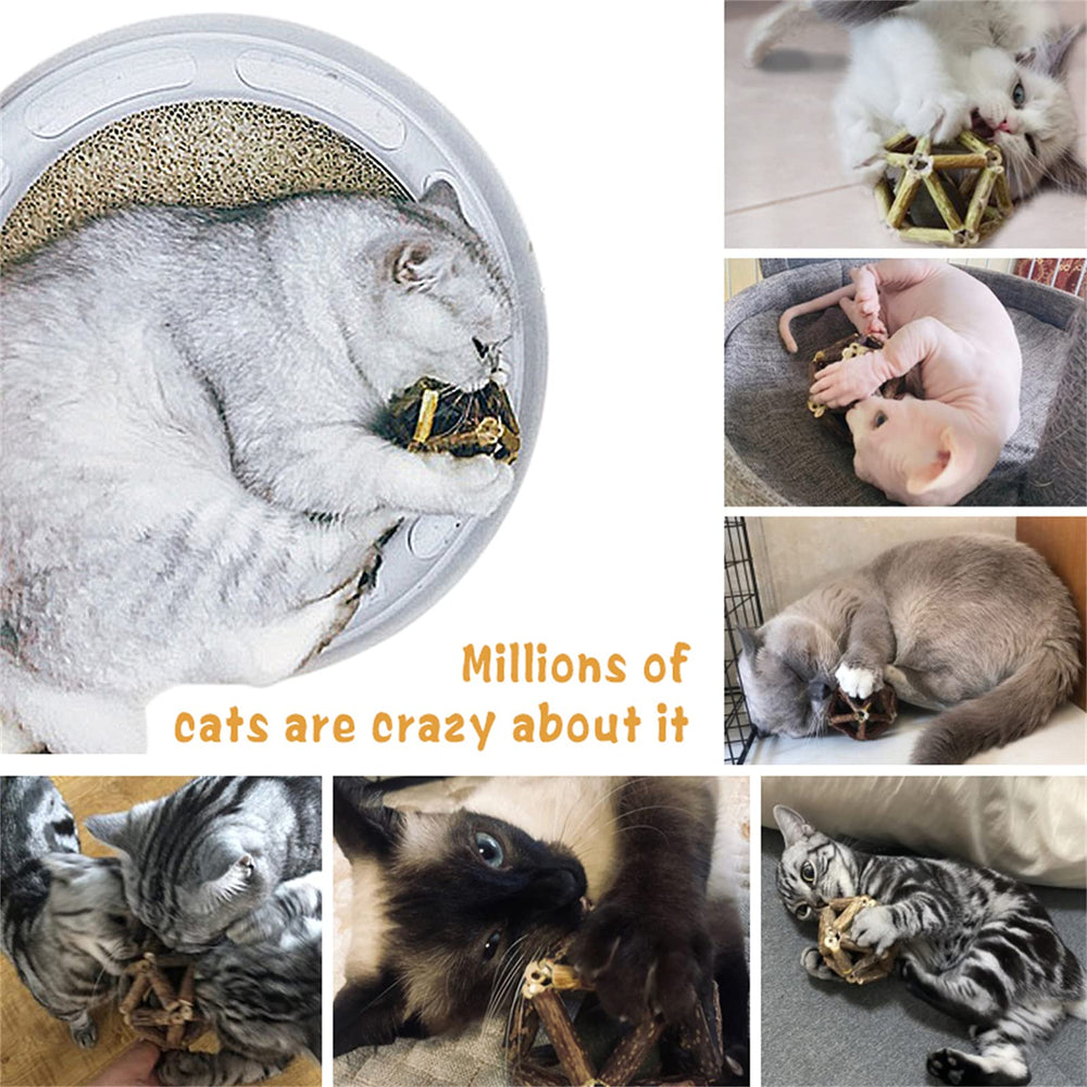 Gochanmon jouet naturel durable pour chats d’intérieur.
