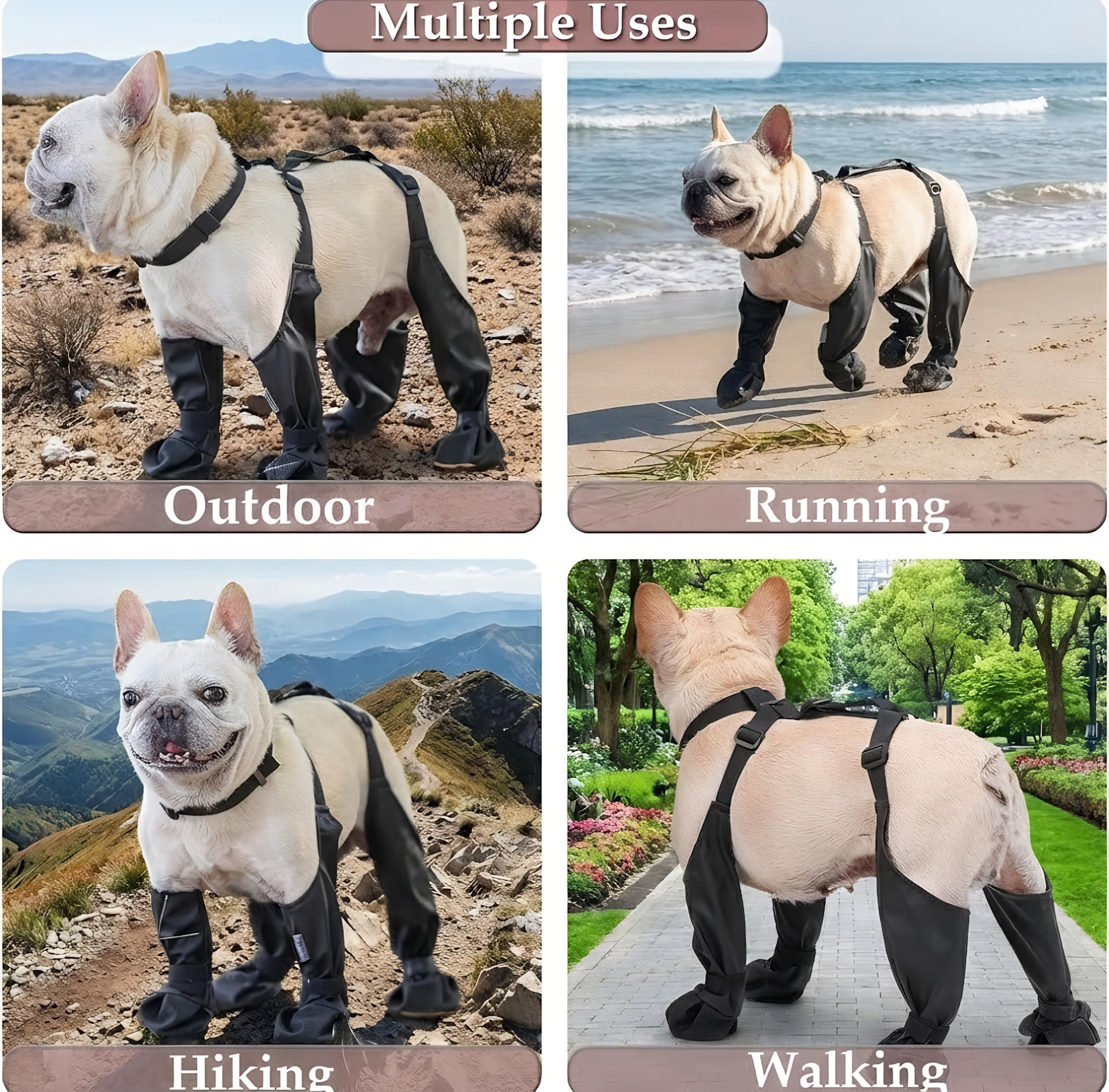 Gockeoz semelles antidérapantes pour bottes-chien, traction efficace