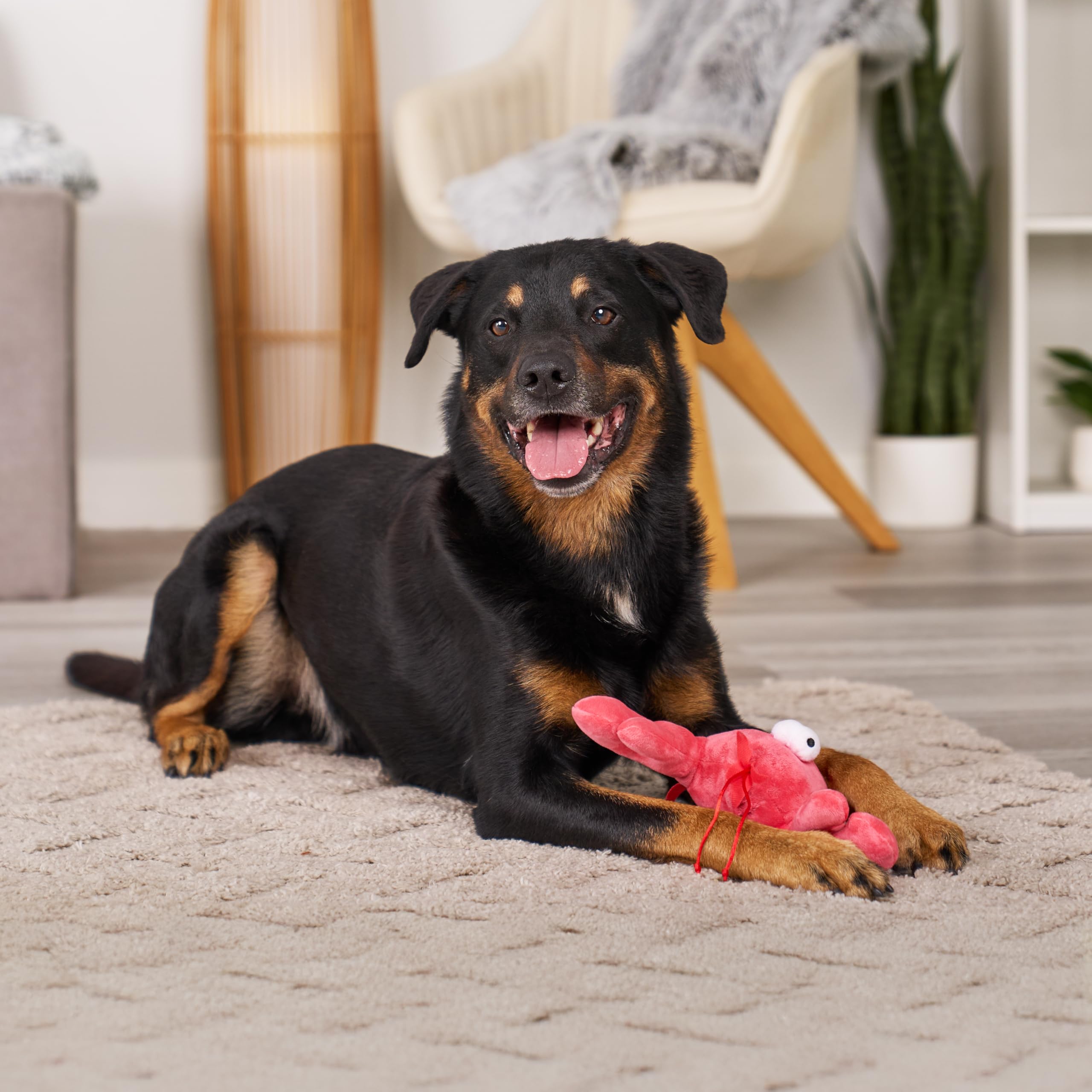 goDog Homard facile à nettoyer, prêt pour le prochain jeu