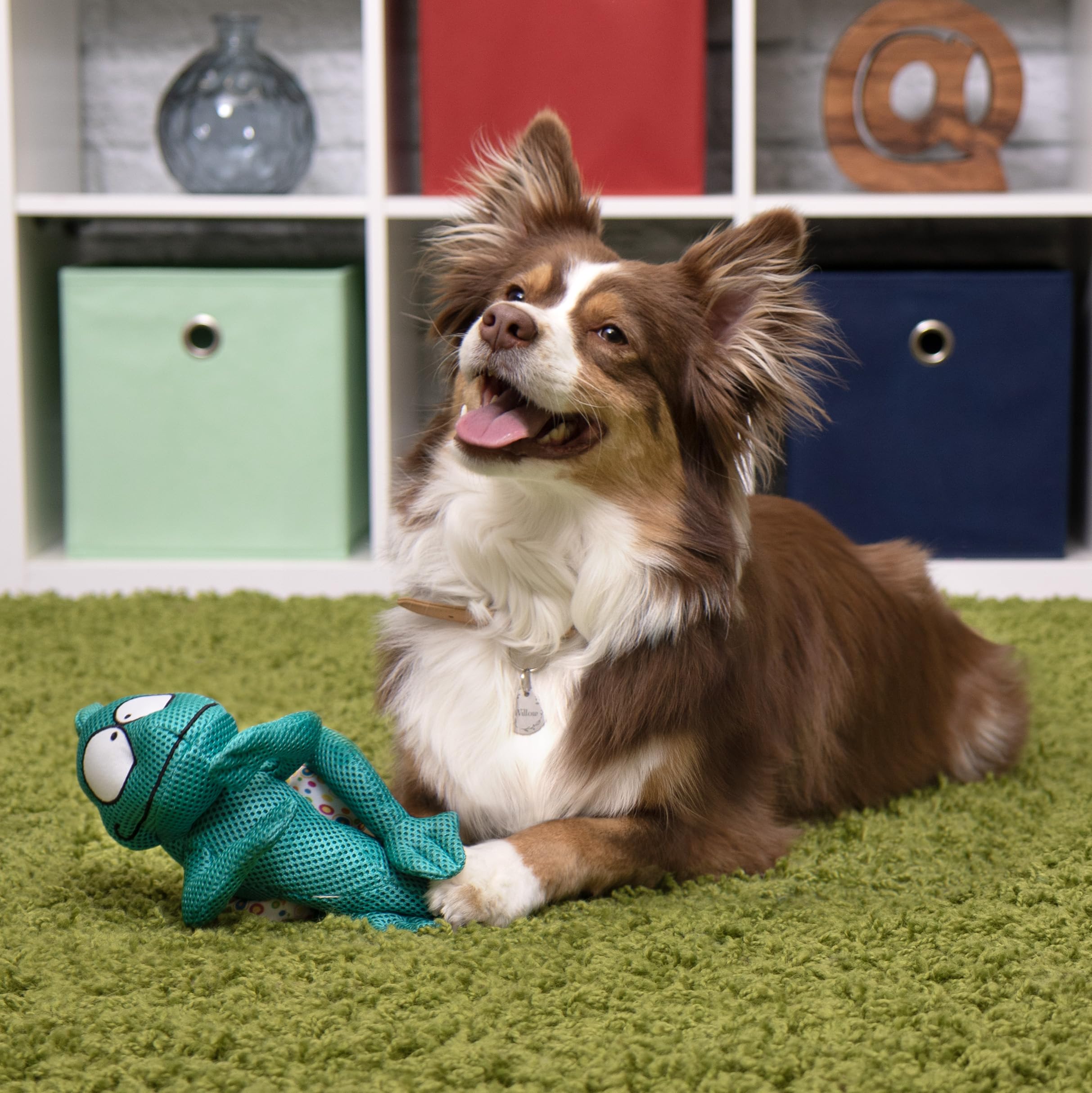 GoDog Amphibianz Chameleon Teal – compagnon cuddly parfait pour le chien et le maître.